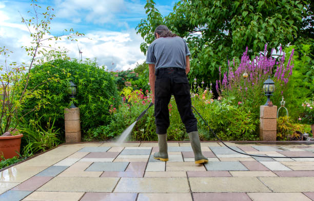Trusted Langley Park, MD  Pressure Washing Services Experts